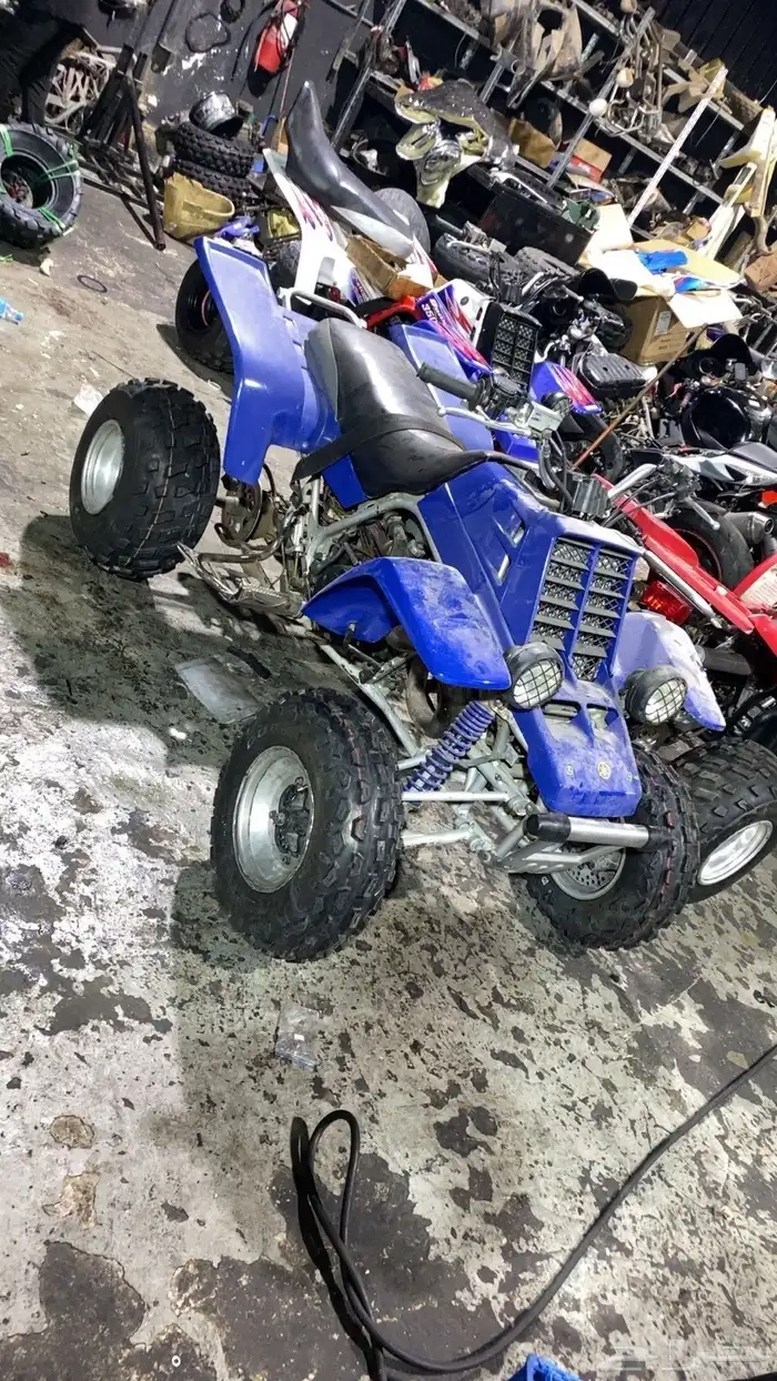 للبيع دباب بانشي 0