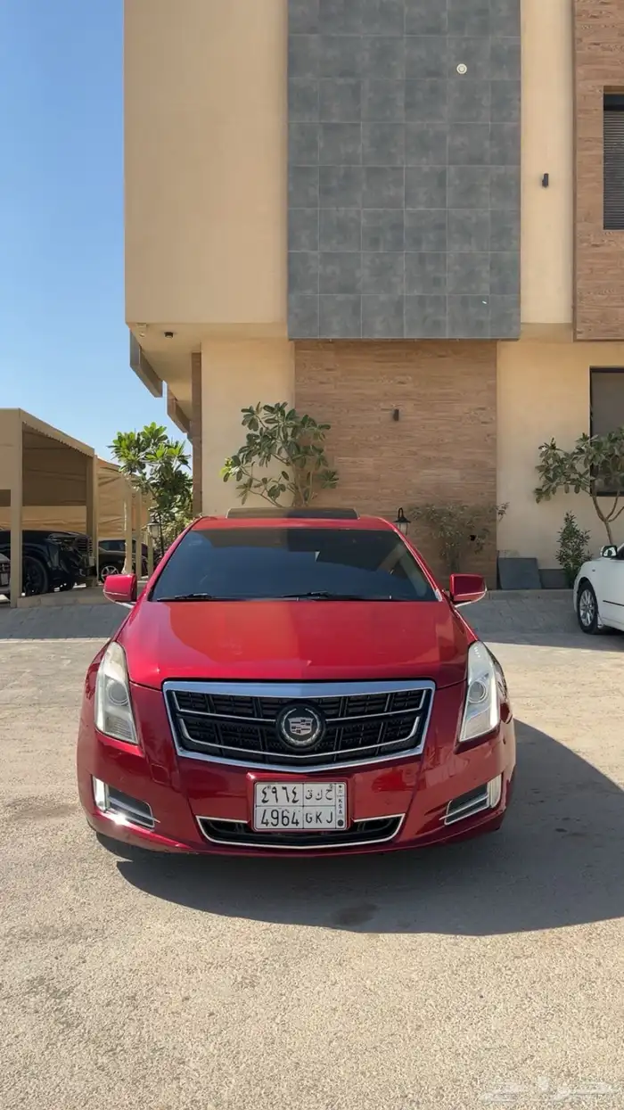 للبيع كدلك نظيف 4