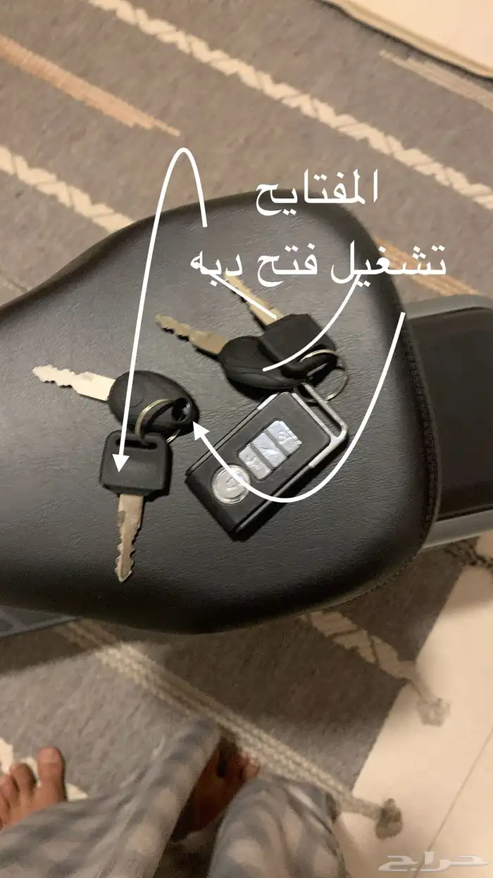 سكوتر صحري قوي 21