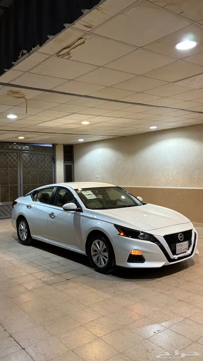 التيماء 2022 1