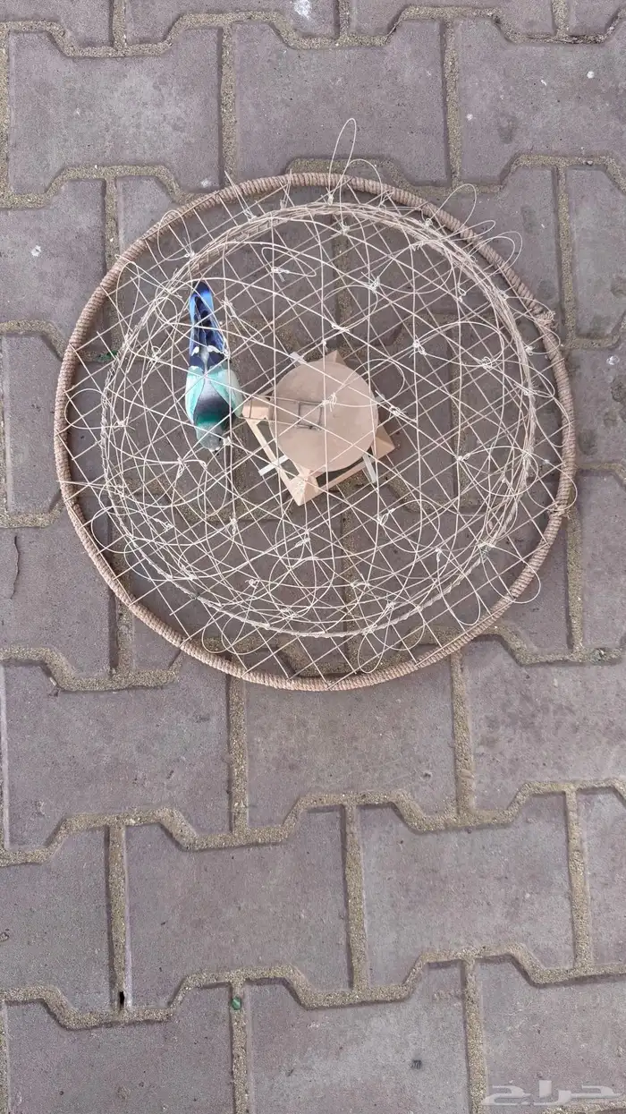 قرشعه على الطاقه الشمسيه 0