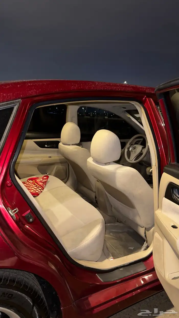 التيما 2013 11