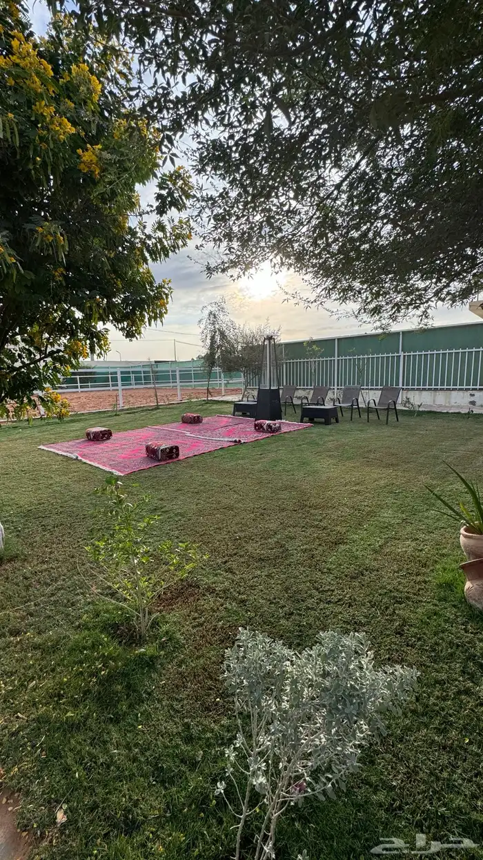 مربط ومنتجع للإيجار اليومي 1