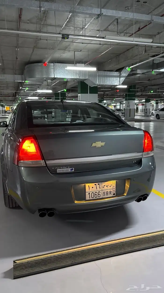 كابرس زعتري 2015 7