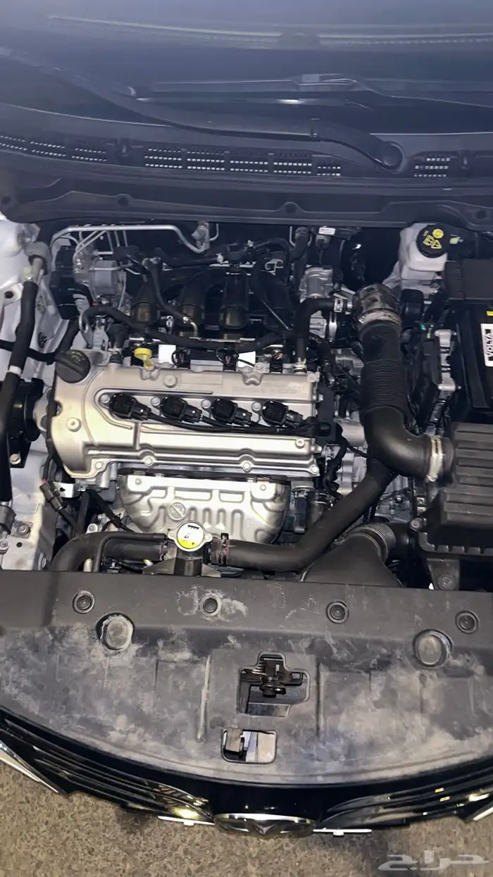 شانجان السفن 2022 فل كامل للبيع 13