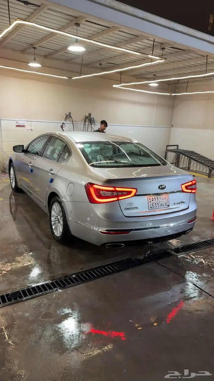 كادينزا 2015 3