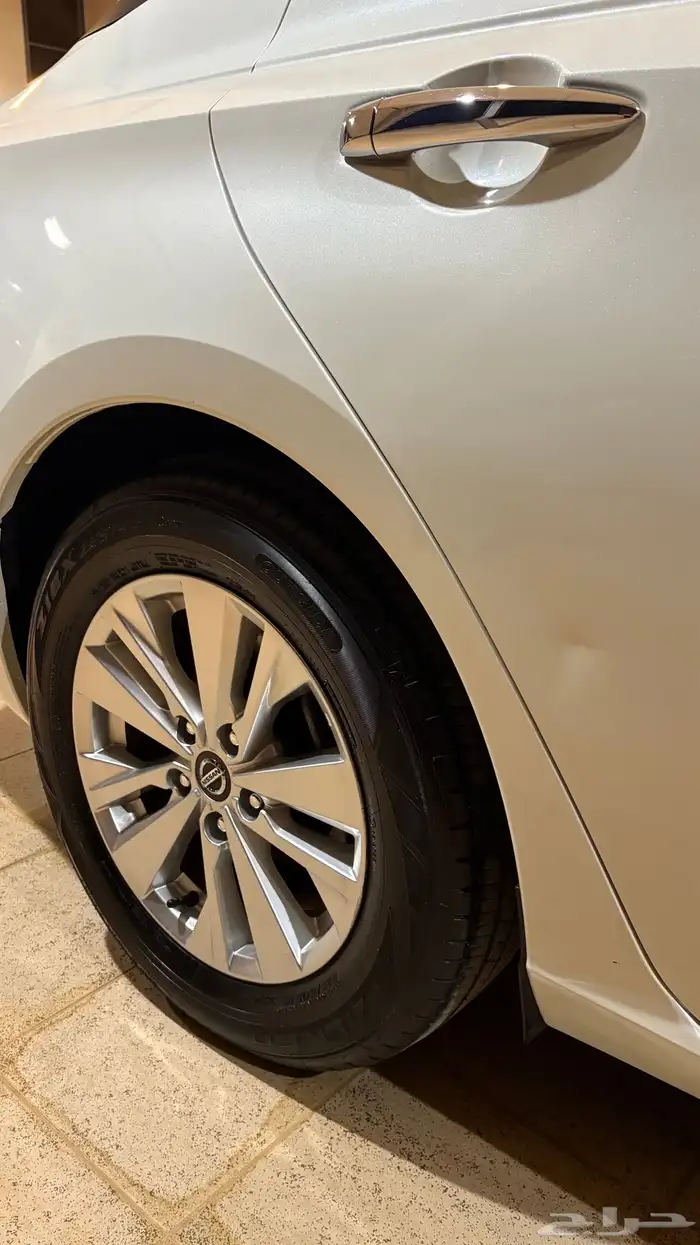 التيماء 2022 7