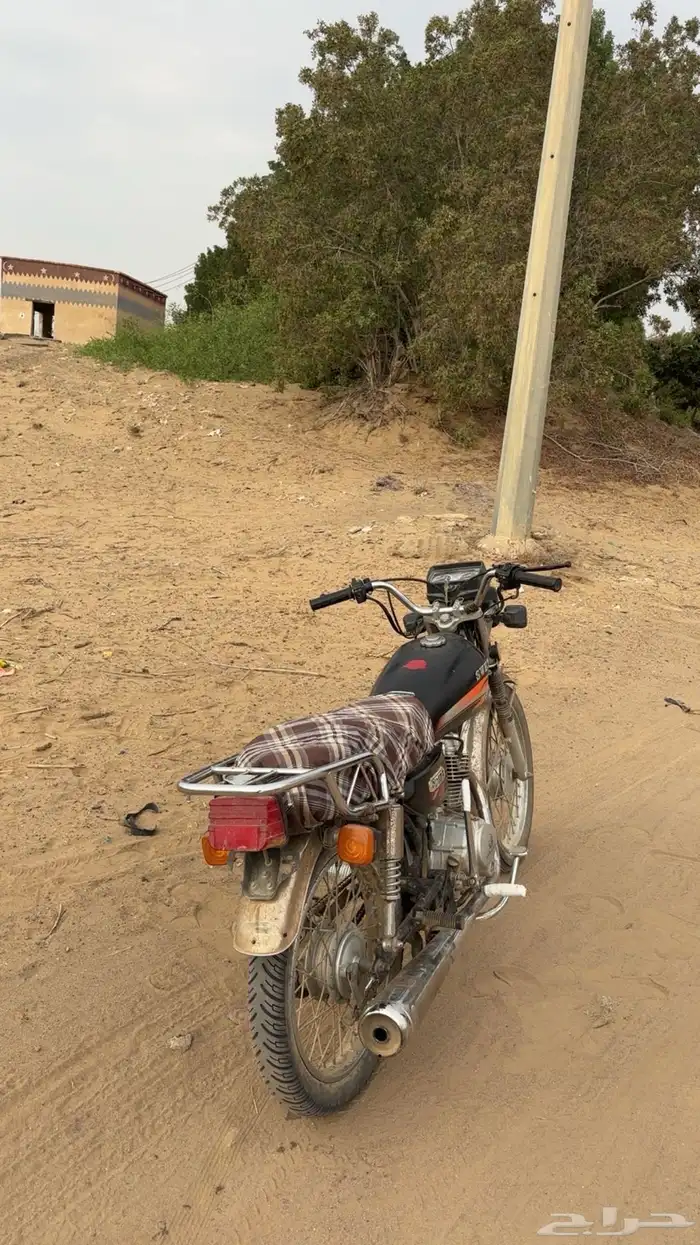 دباب سويدي سلق 2