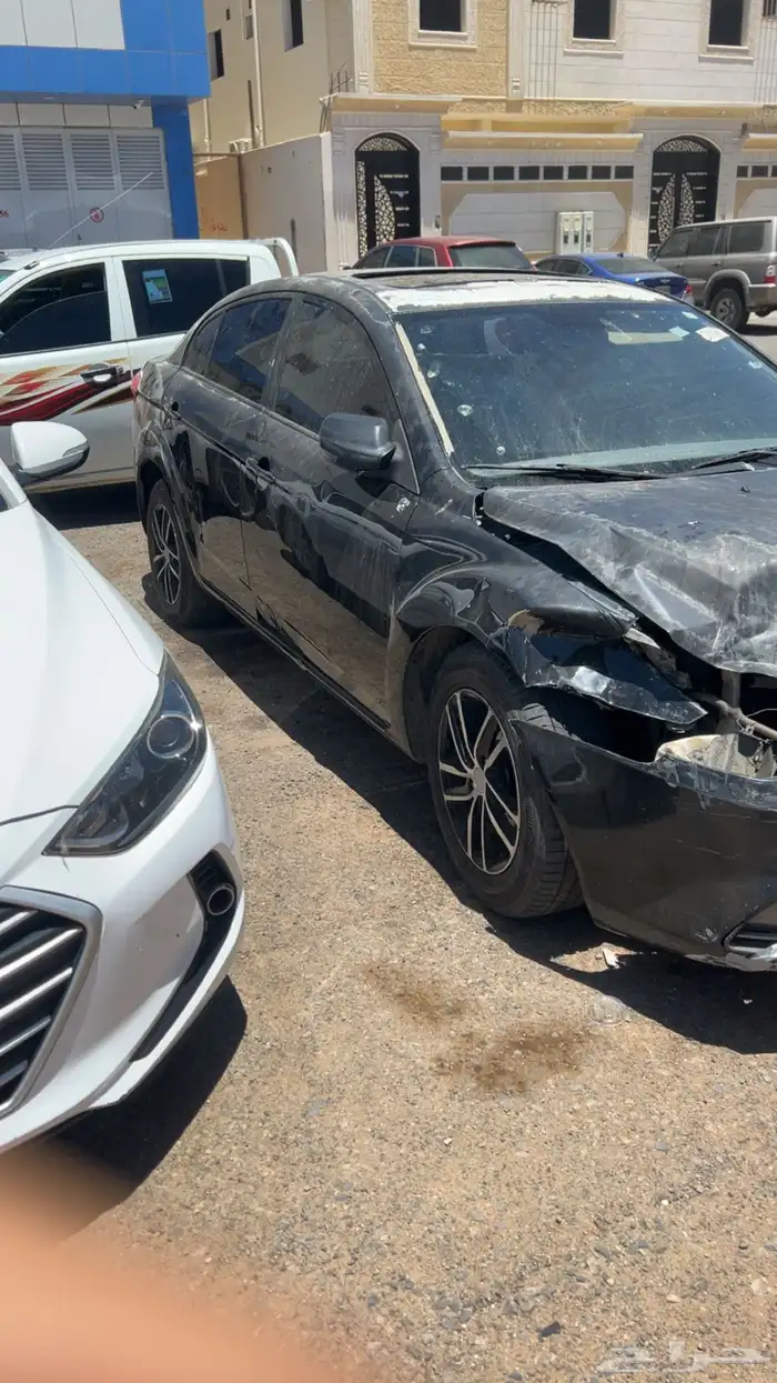 فاو بسترن B50 1