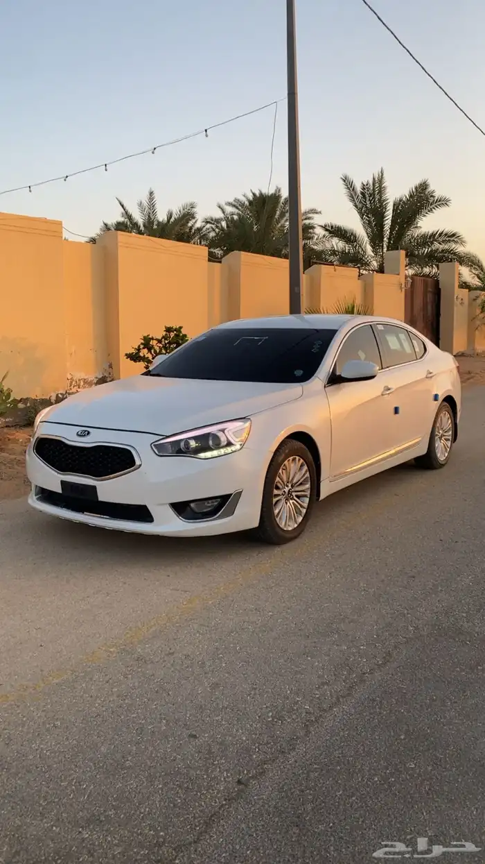 للبيع كادينزا 16 او بدلل هيلكس غمارة فقط 0