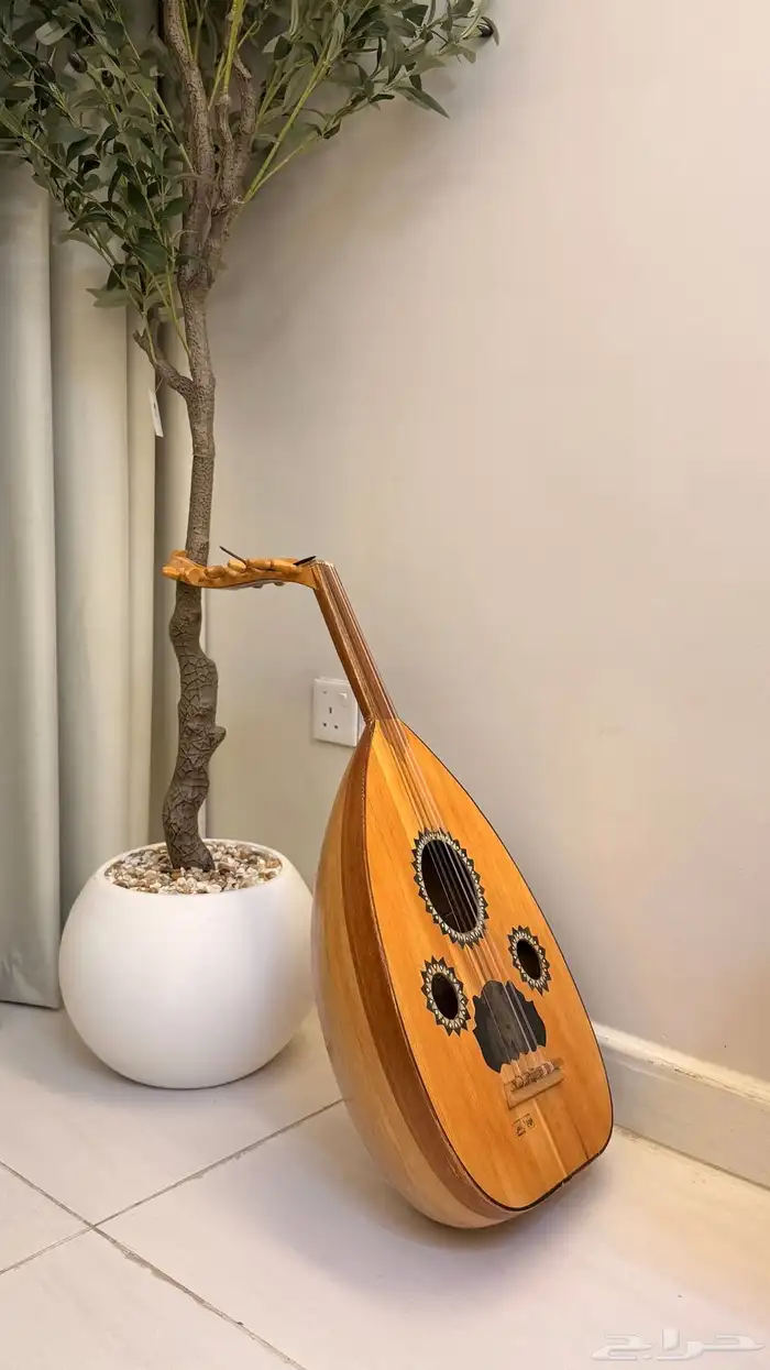 عود مصري 3