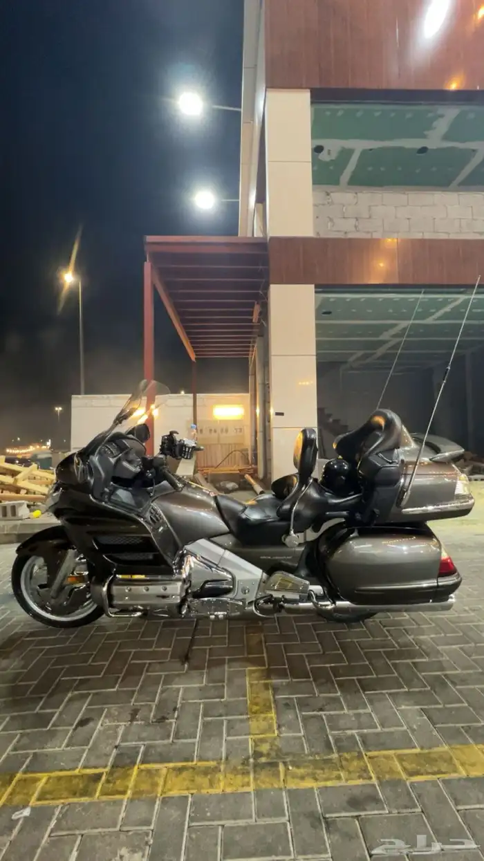 قولدوينق 2010 3