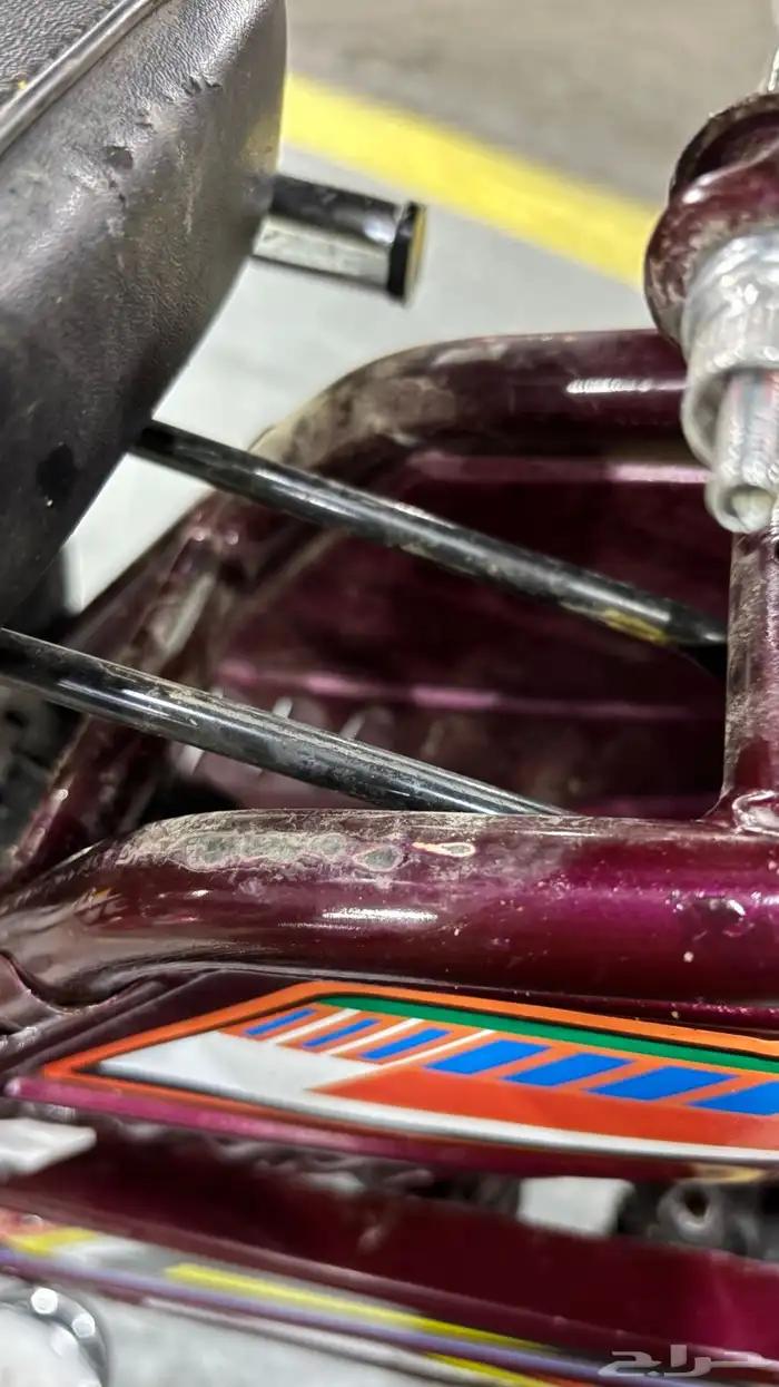 للبيع سيكل رامبو عنابي صيني درجه اولى (الاصلي) 4