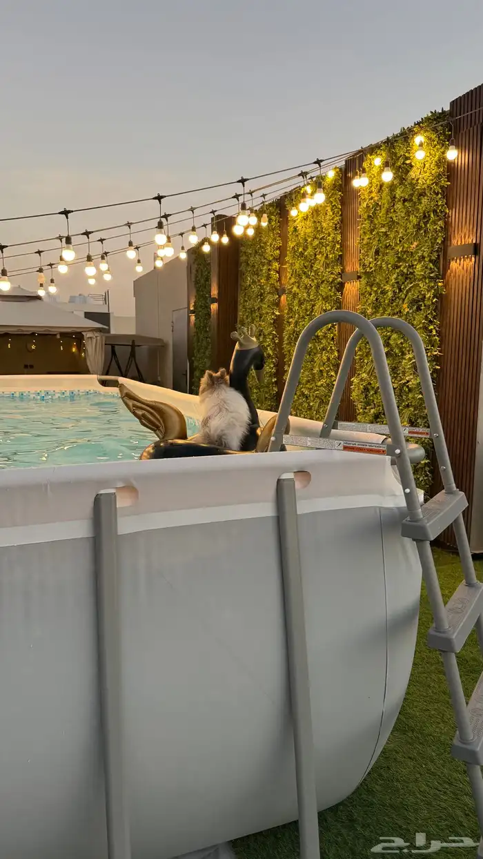 للبيع مسبح 0