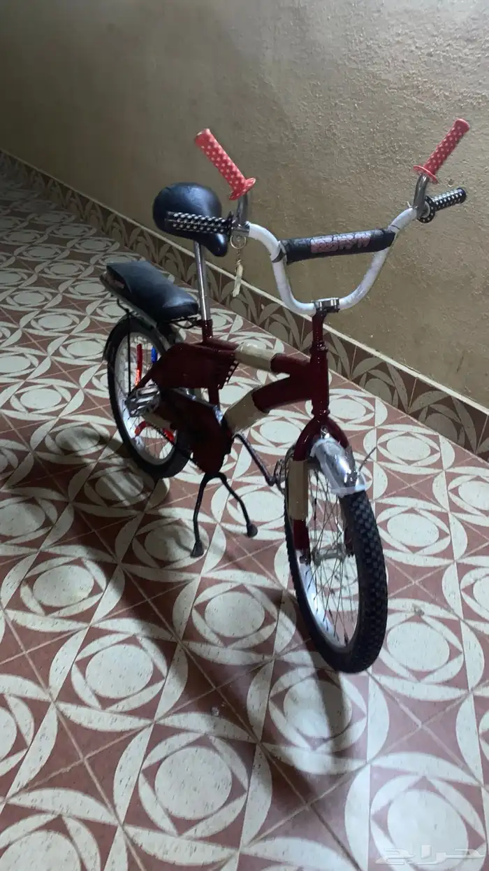 رامبو اندنوسي مصبوغ 5