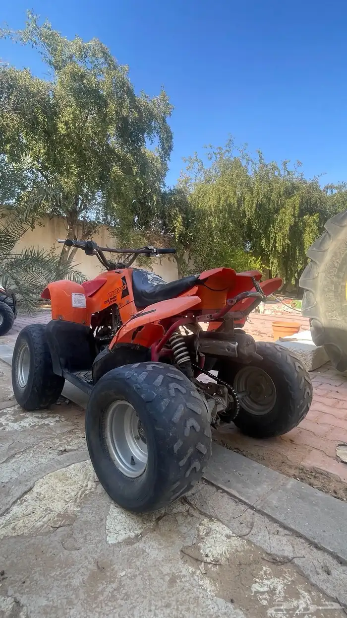 دباب الوسيط مقاس 100 1