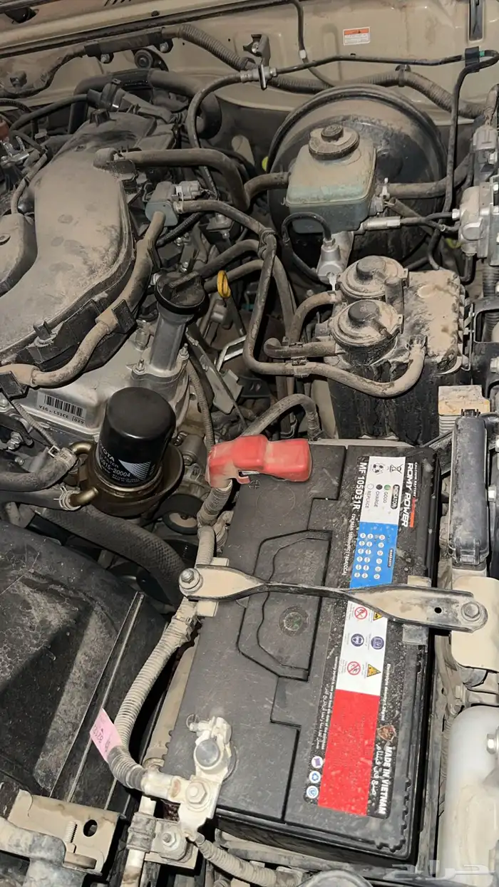 شاص 2021 رفرف دفلك بدون ونش 6