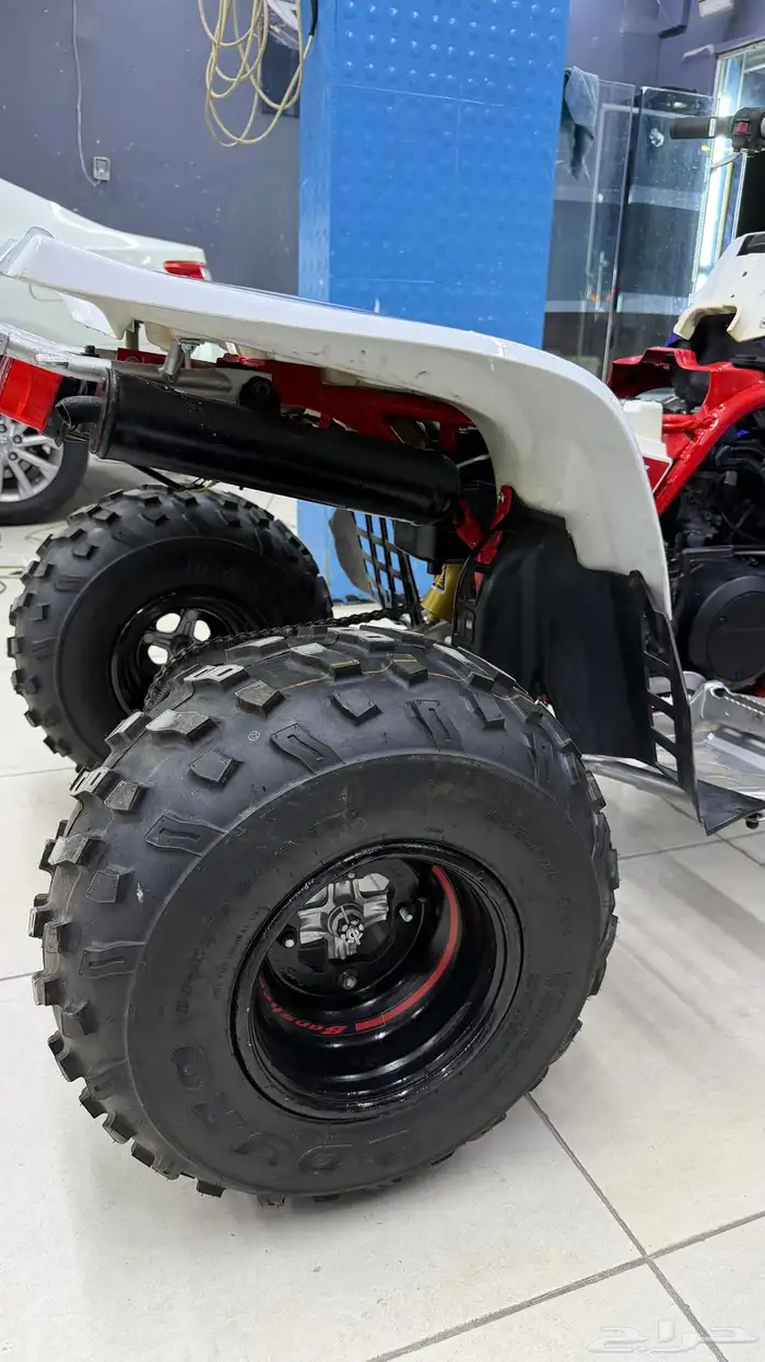 بانشي 2011 أصل 6