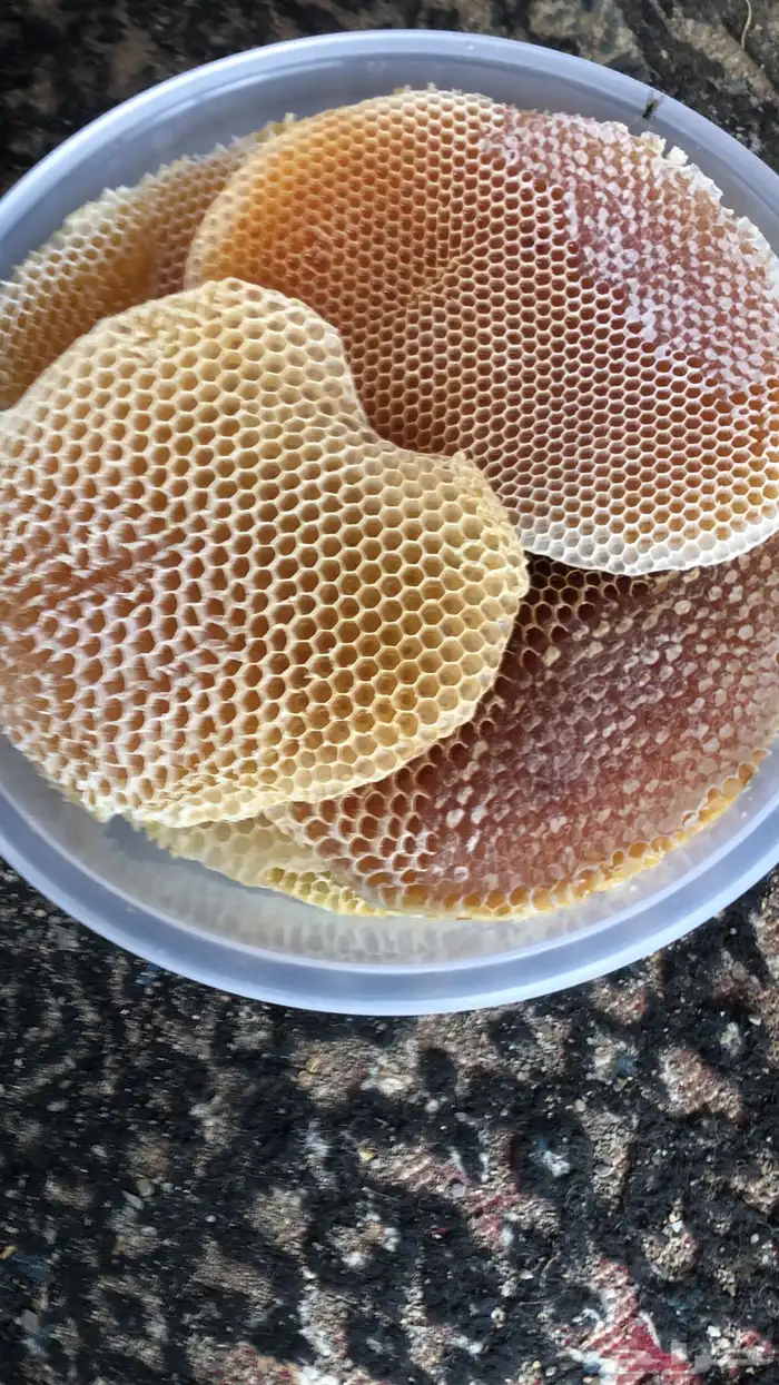 عسل شمع وصافي مضمون علي الشرط 0