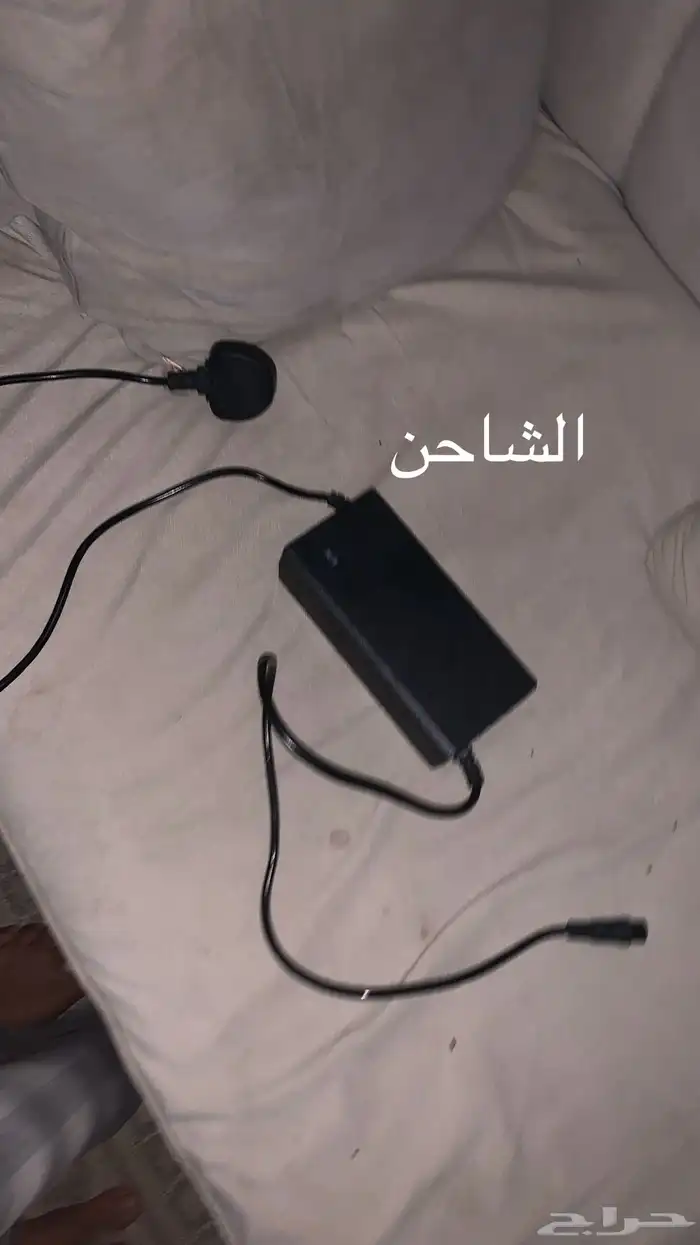 سكوتر صحري قوي 11