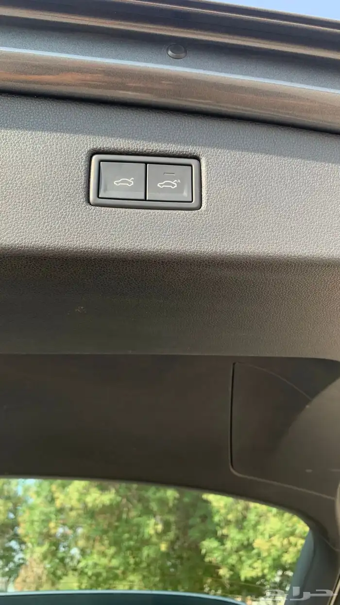 فوكس وأجن يتجوان 2019 R line 15