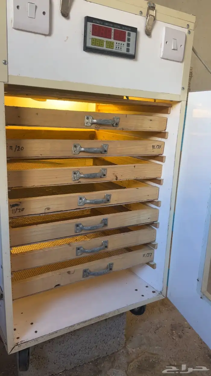 فقاسة يدويه نظيفة 1