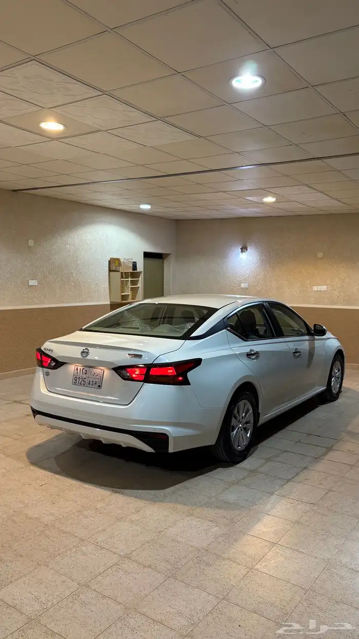 التيماء 2022 0