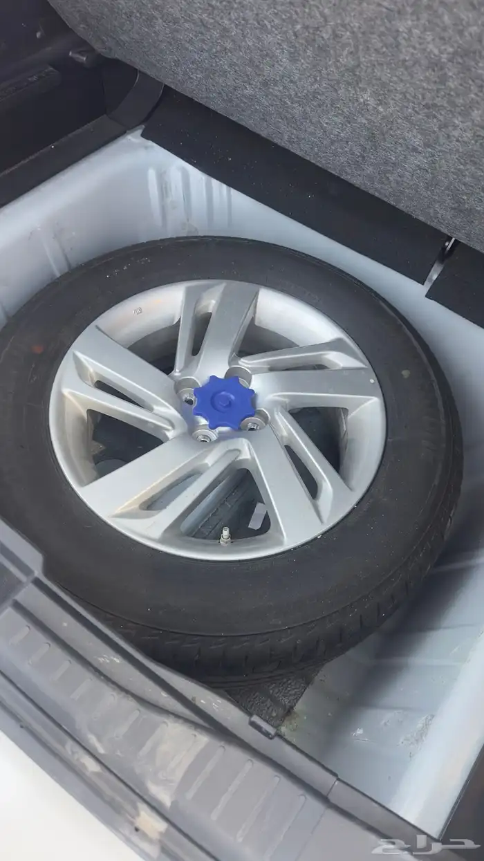 رايز بدي وكاله 10