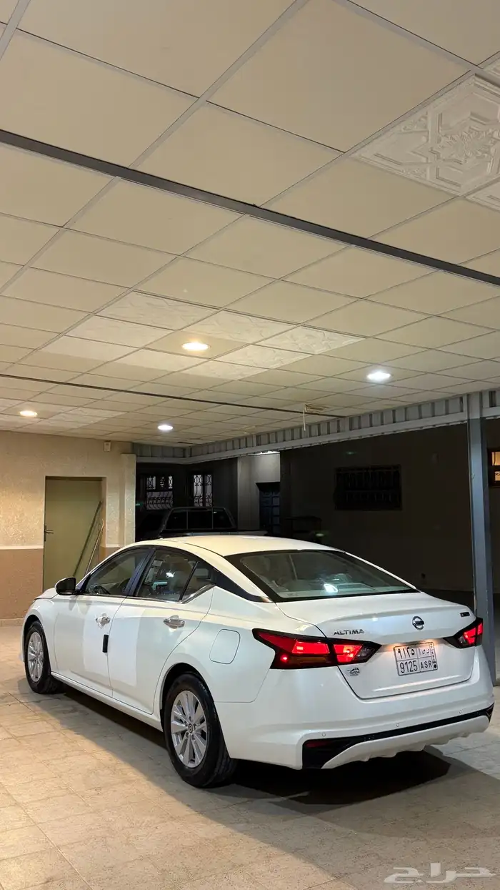 التيماء 2022 6