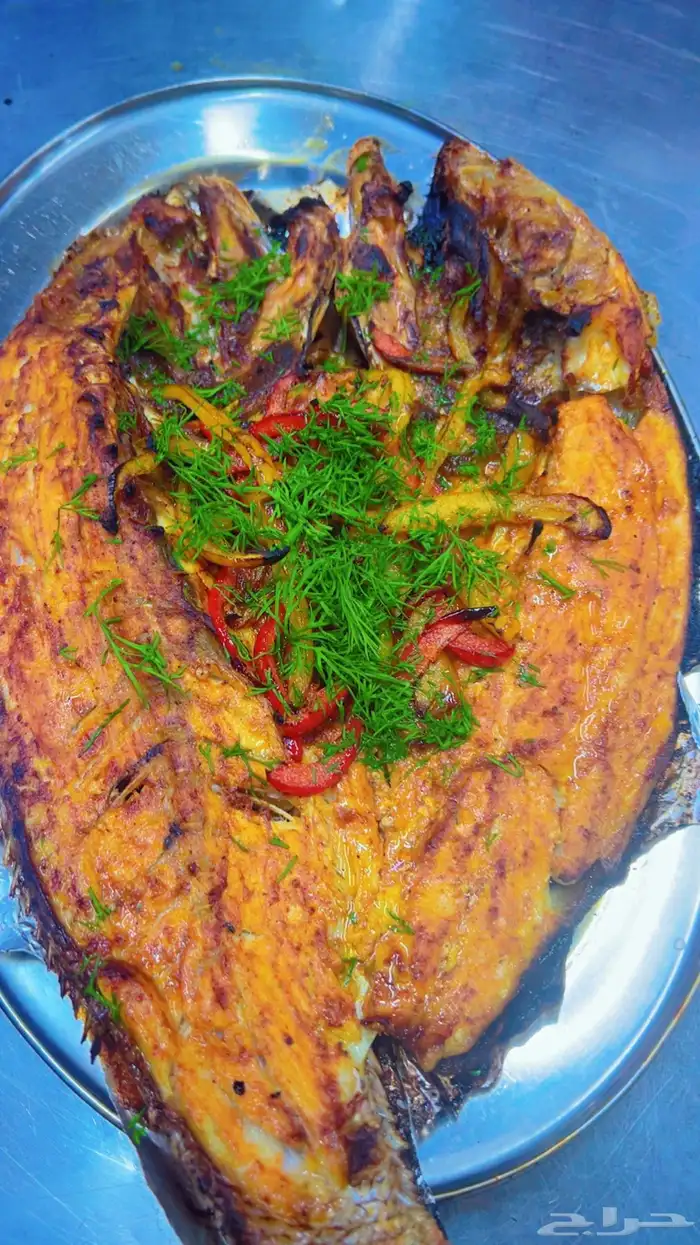 يوجد لدينا أسماك طازة يومية ني وفي جاهز مقلي مشوي المناسبا 12