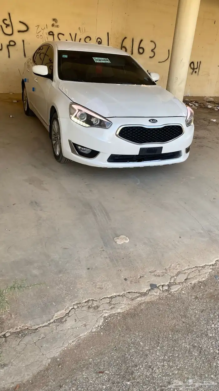 للبيع كادينزا 16 او بدلل هيلكس غمارة فقط 4