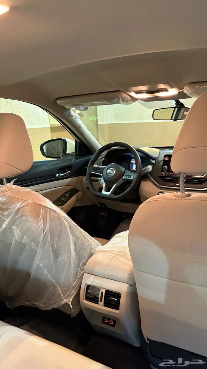 التيماء 2022 3