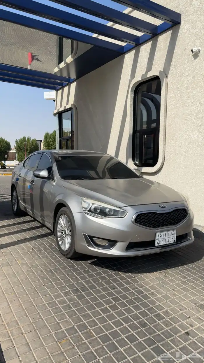 كادينزا 2015 4