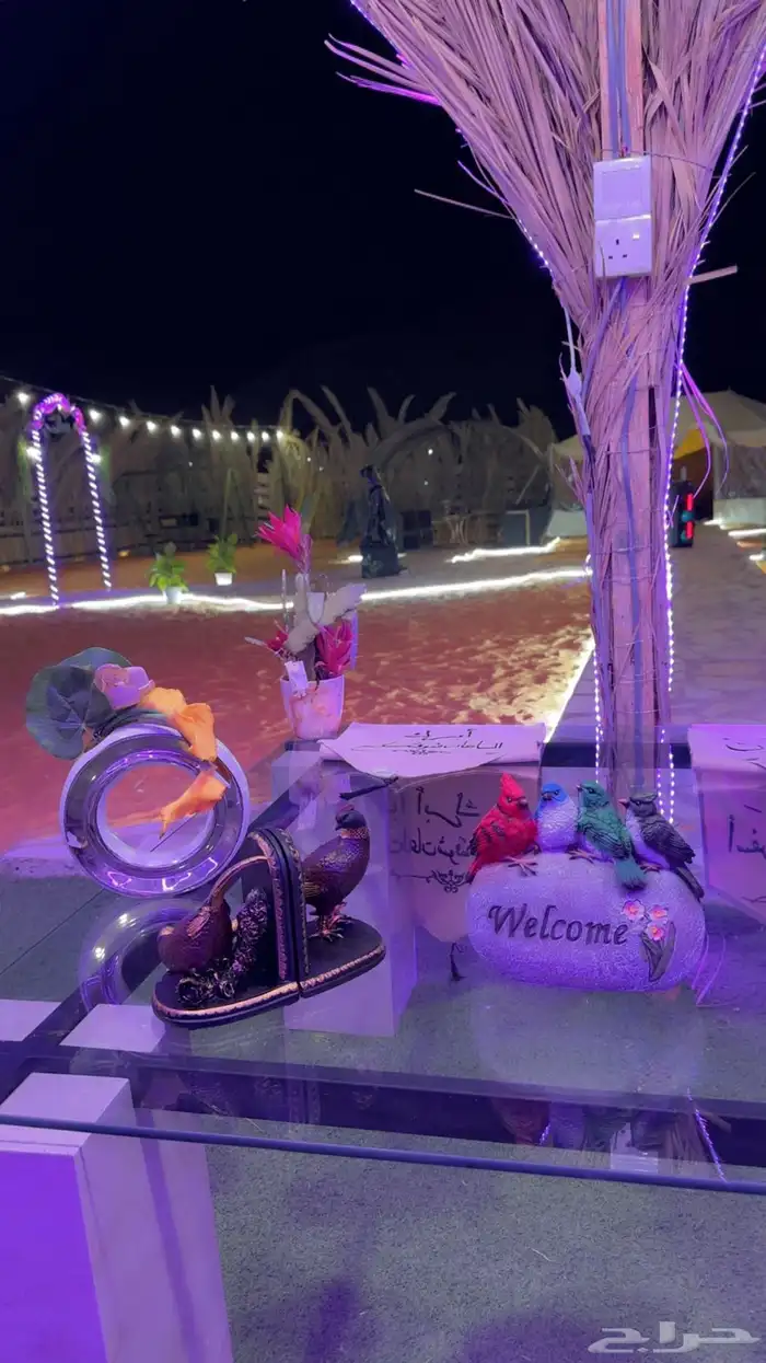 مخيم الريم للايجار اليومي الرياض 22