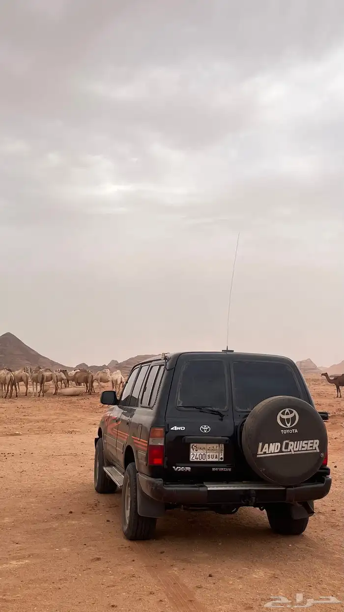 صالون 92 للبيع 7