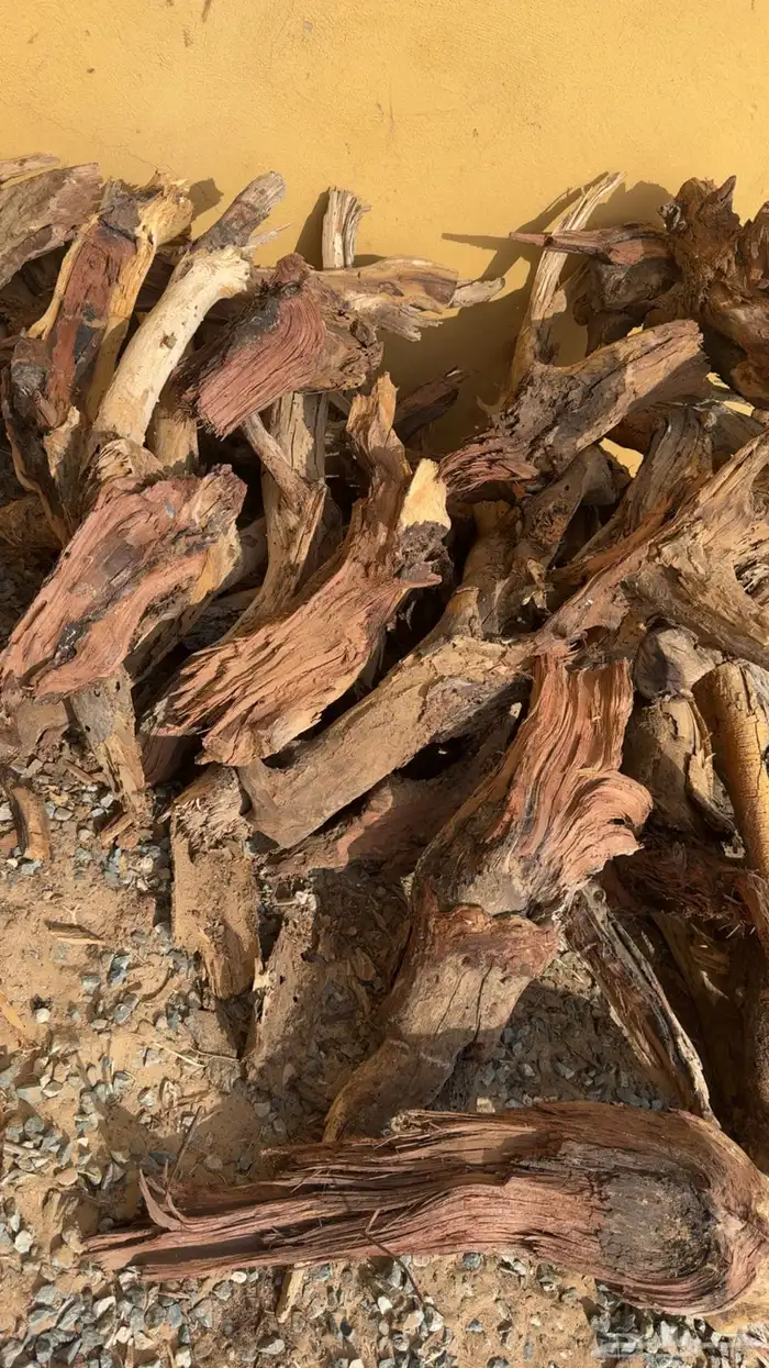 اخشاب للبيع ( حطب شلايخ كفو ) 1