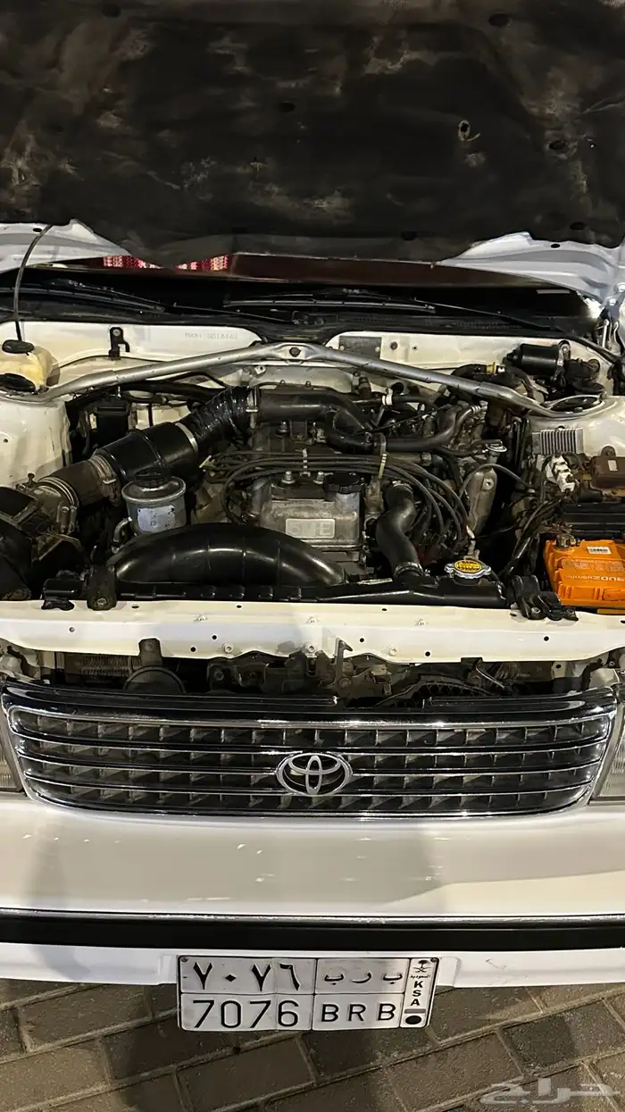 كرسيدا قراندي سعودي سته سرندل 1