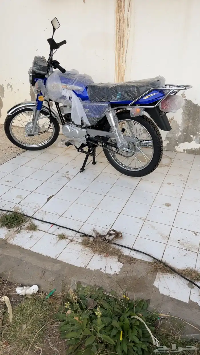 دباب x100 سزوكي 14