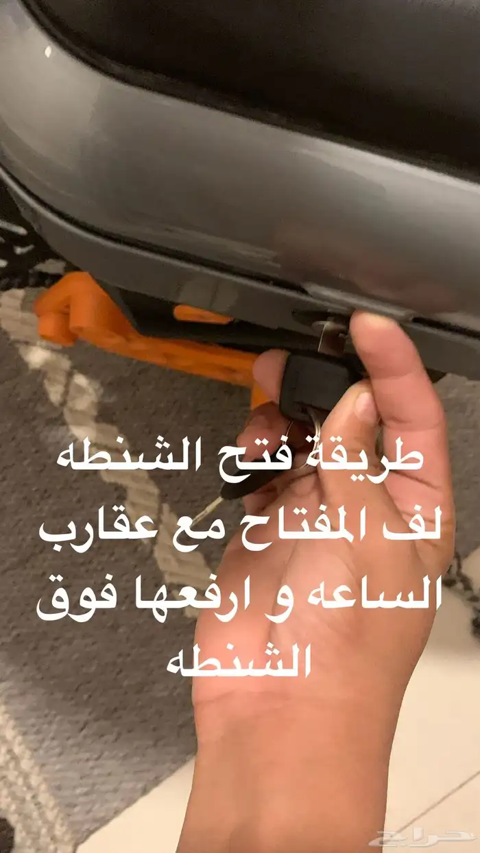 سكوتر صحري قوي 20