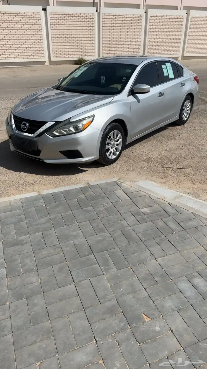 التيما 2017 فضي ستاندر 1