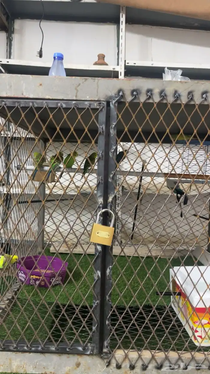 شبك طيور و دجاج 1