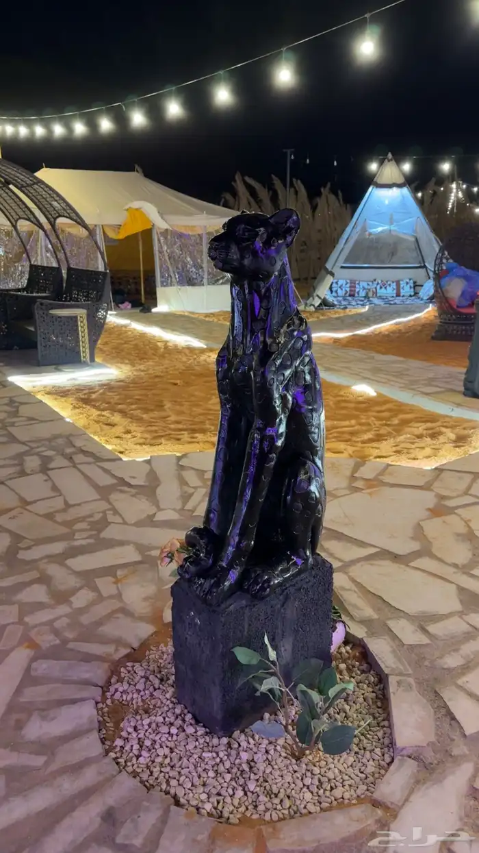 مخيم الريم للايجار اليومي الرياض 0