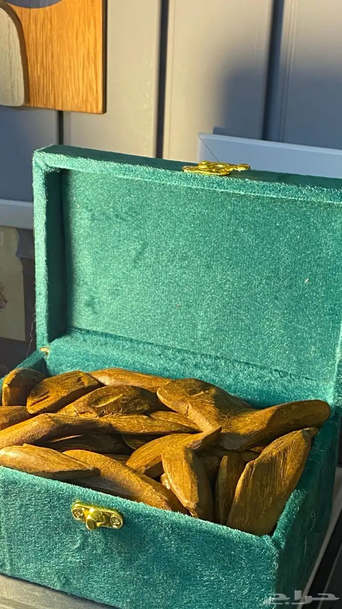 عرض لن يتكرر باقل من التكلفة موروكي AB 1