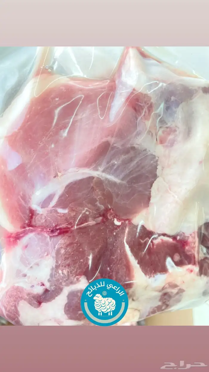 ذبائح الراعي حري نعيمي سواكن ذبائح تابي تمارا 20