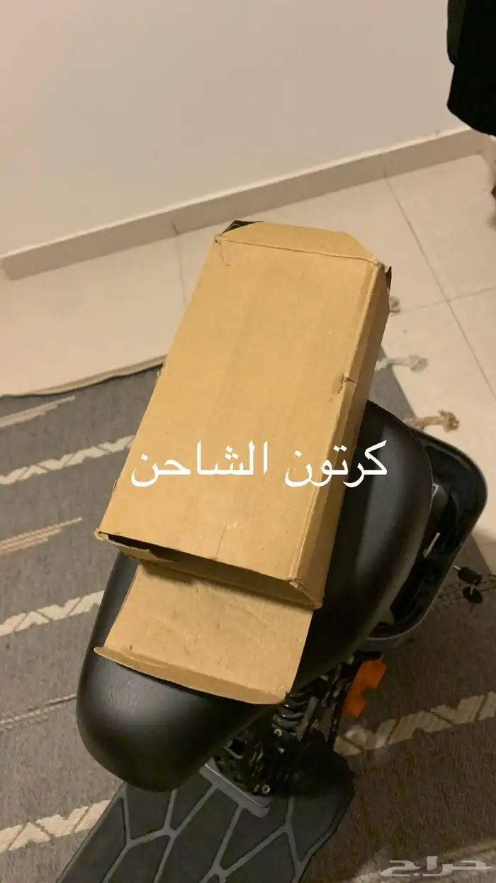 سكوتر صحري قوي 10