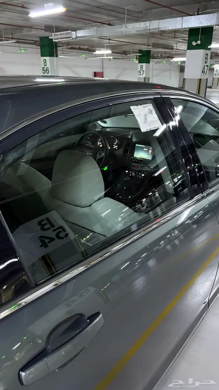 كابرس زعتري 2015 13