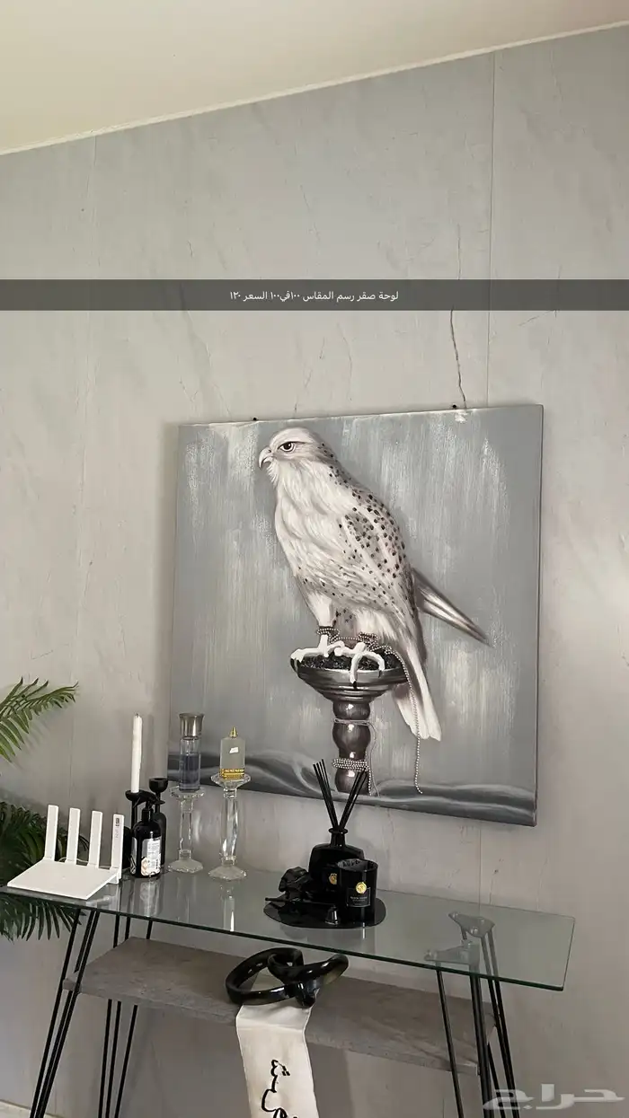 لوحات صقر صور صقر 0