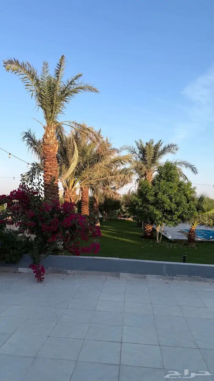 منتجع للايجار   رياض الخبراء 27