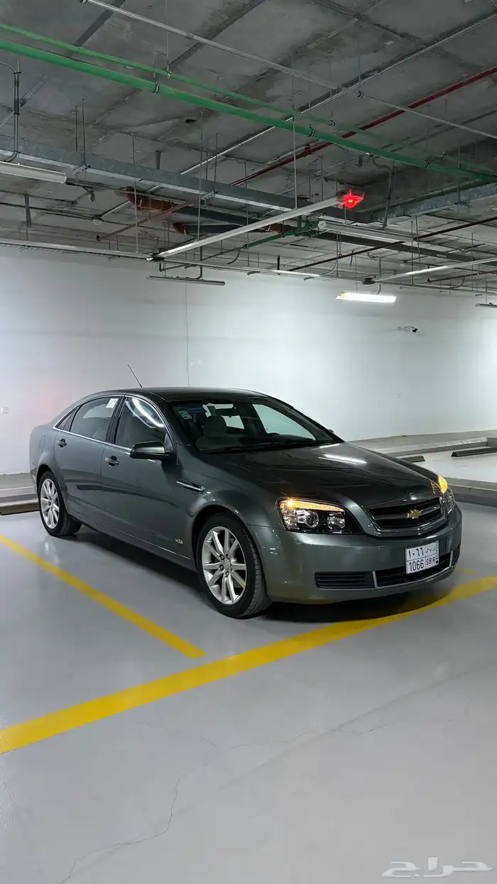 كابرس زعتري 2015 0