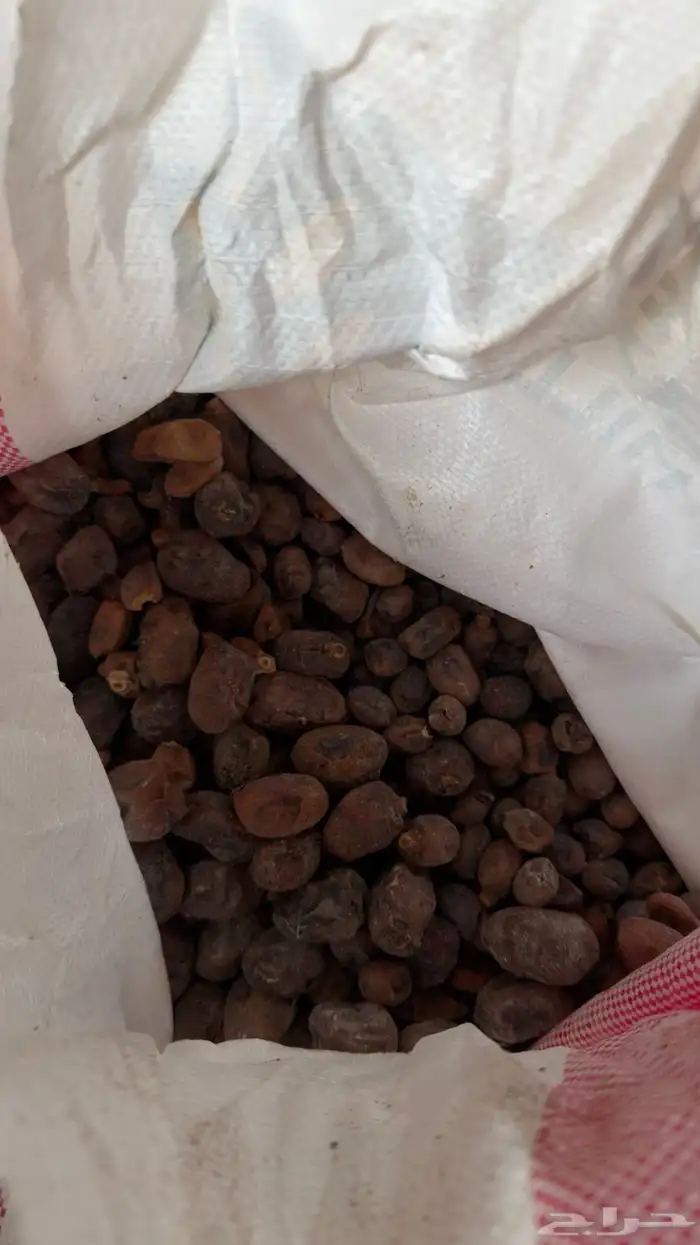 تمر للحلال 1